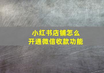 小红书店铺怎么开通微信收款功能