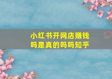 小红书开网店赚钱吗是真的吗吗知乎