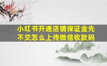 小红书开通店铺保证金先不交怎么上传微信收款码