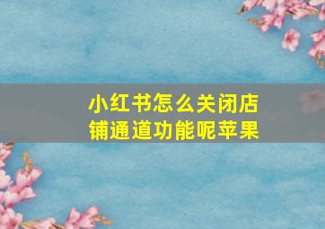 小红书怎么关闭店铺通道功能呢苹果