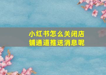 小红书怎么关闭店铺通道推送消息呢