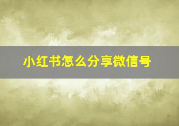 小红书怎么分享微信号