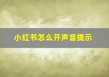 小红书怎么开声音提示