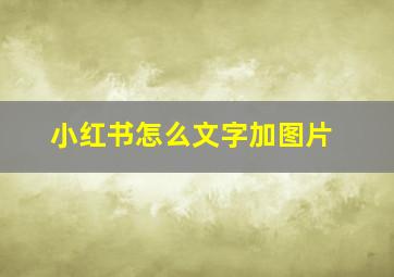 小红书怎么文字加图片