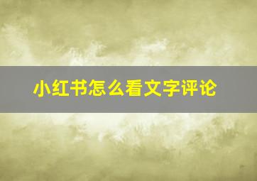 小红书怎么看文字评论