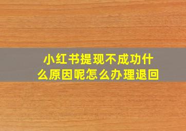 小红书提现不成功什么原因呢怎么办理退回