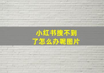 小红书搜不到了怎么办呢图片