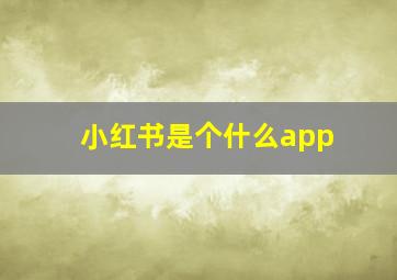 小红书是个什么app