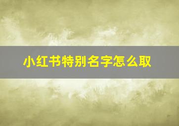 小红书特别名字怎么取