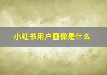 小红书用户画像是什么