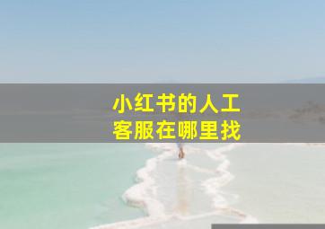 小红书的人工客服在哪里找