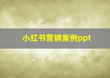 小红书营销案例ppt