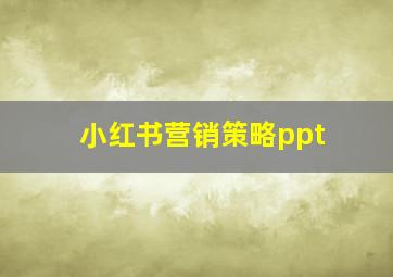 小红书营销策略ppt