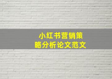 小红书营销策略分析论文范文