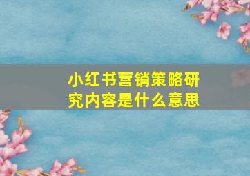 小红书营销策略研究内容是什么意思