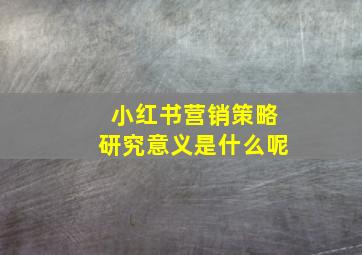 小红书营销策略研究意义是什么呢