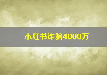 小红书诈骗4000万