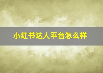 小红书达人平台怎么样