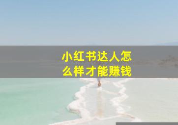 小红书达人怎么样才能赚钱