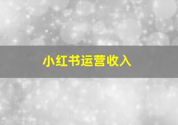 小红书运营收入