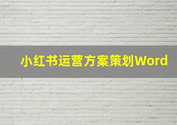 小红书运营方案策划Word