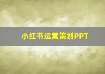 小红书运营策划PPT