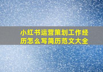 小红书运营策划工作经历怎么写简历范文大全