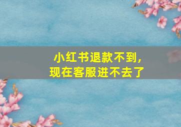 小红书退款不到,现在客服进不去了