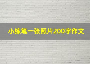 小练笔一张照片200字作文