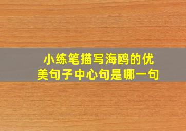 小练笔描写海鸥的优美句子中心句是哪一句