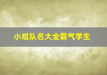 小组队名大全霸气学生