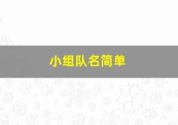 小组队名简单