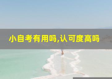 小自考有用吗,认可度高吗