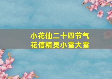 小花仙二十四节气花信精灵小雪大雪