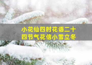 小花仙四时花语二十四节气花信小雪立冬