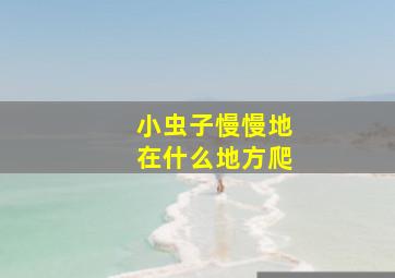 小虫子慢慢地在什么地方爬