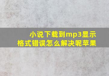 小说下载到mp3显示格式错误怎么解决呢苹果