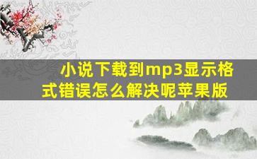 小说下载到mp3显示格式错误怎么解决呢苹果版