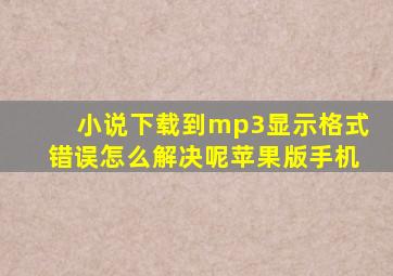 小说下载到mp3显示格式错误怎么解决呢苹果版手机