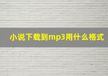 小说下载到mp3用什么格式