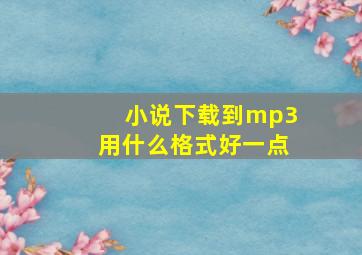 小说下载到mp3用什么格式好一点