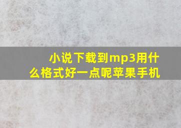 小说下载到mp3用什么格式好一点呢苹果手机