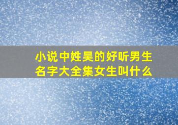 小说中姓吴的好听男生名字大全集女生叫什么