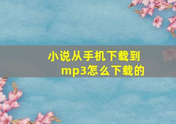 小说从手机下载到mp3怎么下载的