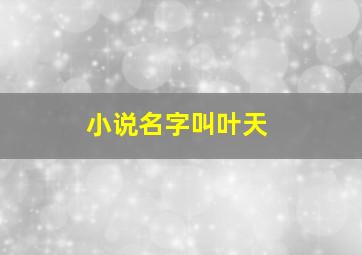 小说名字叫叶天