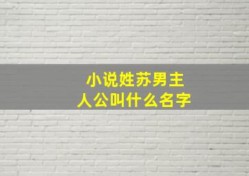 小说姓苏男主人公叫什么名字