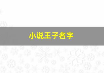 小说王子名字