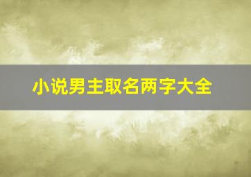 小说男主取名两字大全