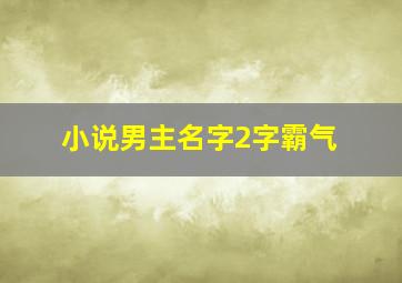 小说男主名字2字霸气