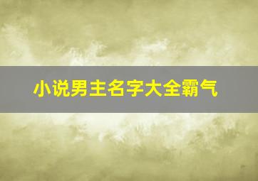 小说男主名字大全霸气